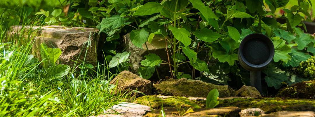Unauffälliger Außenlautsprecher im Gartengrün versteckt Unauffälliger Außenlautsprecher im Gartengrün versteckt