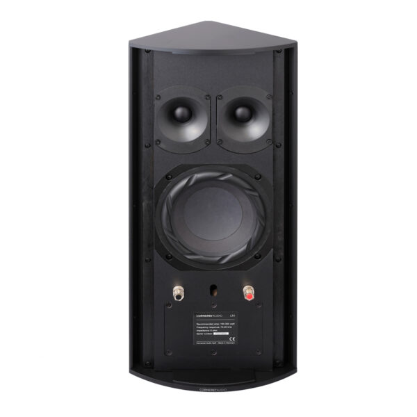 CA LS1