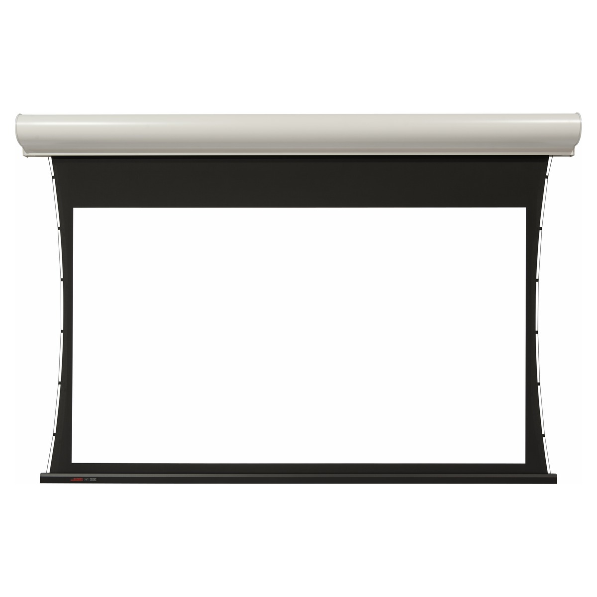 MS2 - Motorleinwand für Decke und Wand