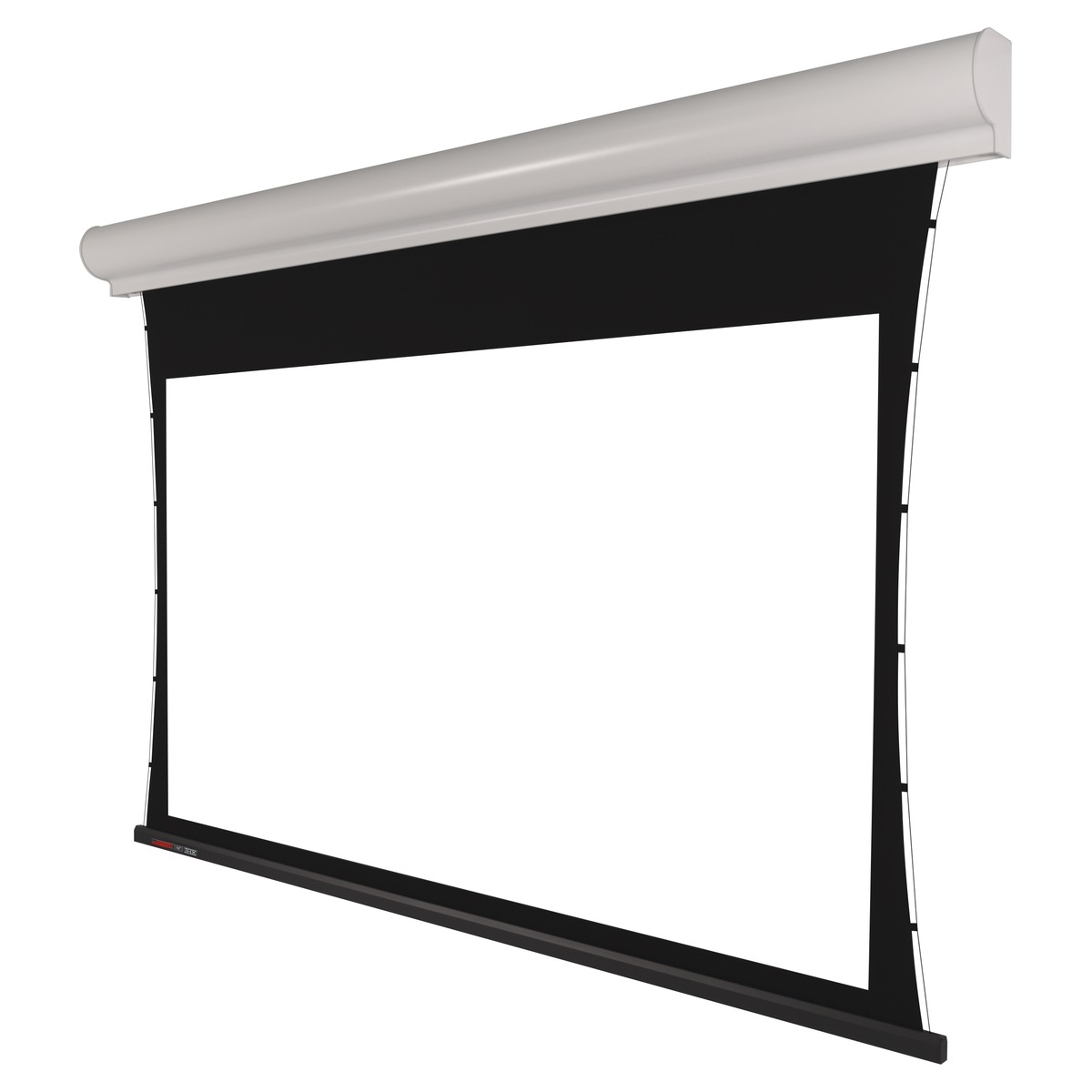 MS2 - Motorleinwand für Decke und Wand
