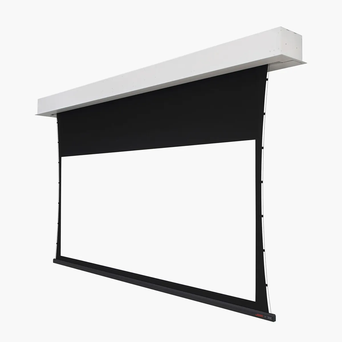MMS2-4-IS - Motorleinwand